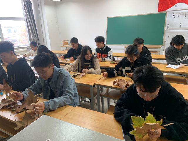 【完满班级】来自秋天的礼物 树叶的艺术——0638太阳集团官网智能制造2101班完满班级活动