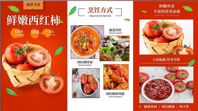 【三下乡】乡村振兴访田野 青春“智”力正当时——0638太阳集团官网发展成就观察团