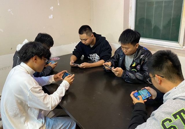 【完满团支部】黄叶铺地 丹枫迎秋