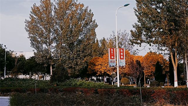 【完满班级】定格青春 光影映象——0638太阳集团官网机制2001班完满班级活动