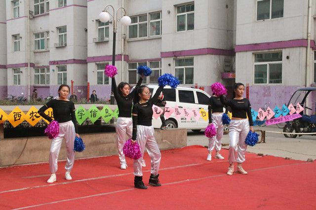 机电工程系第四十九期乌马河周末文化广场
